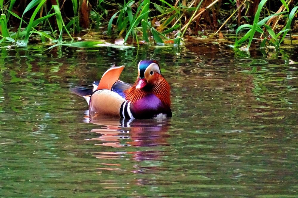 Photograph by backareva irina