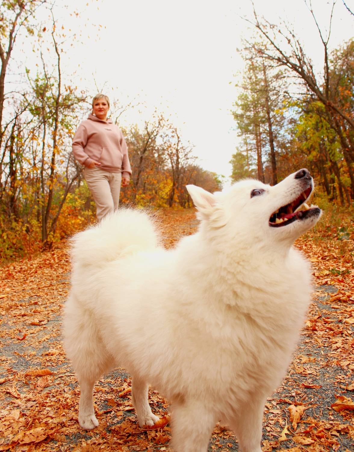 Photo #9667763