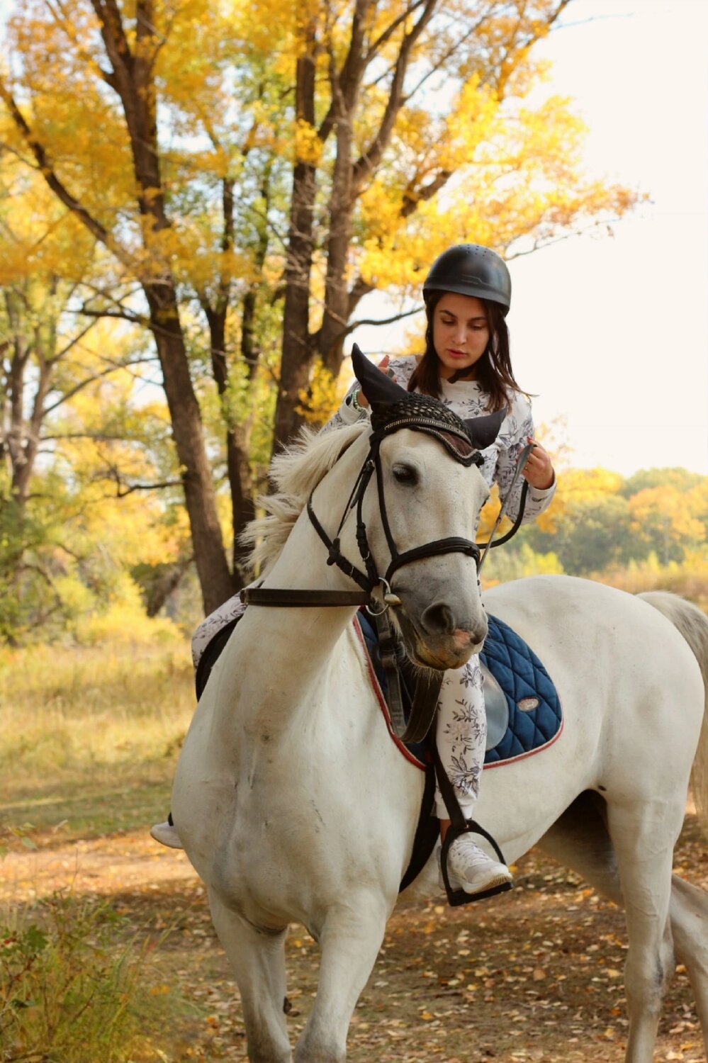 Photo #9667764