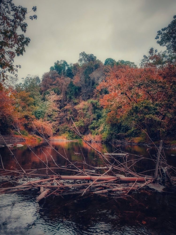 Photograph by Emmanuel Garcia