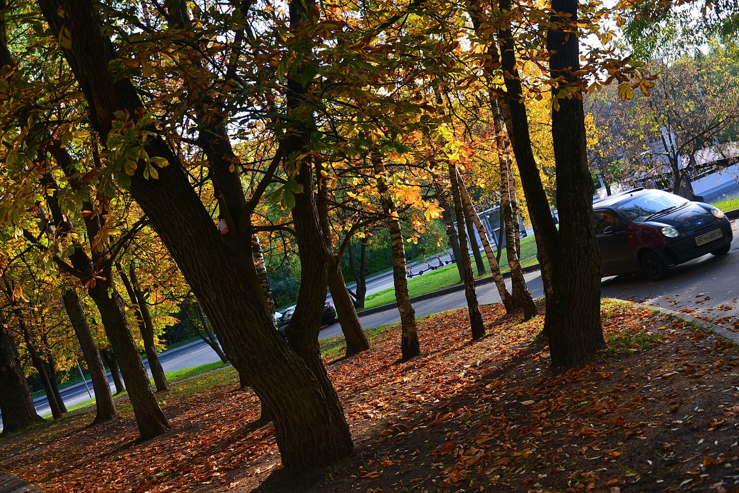 Photo #9667789