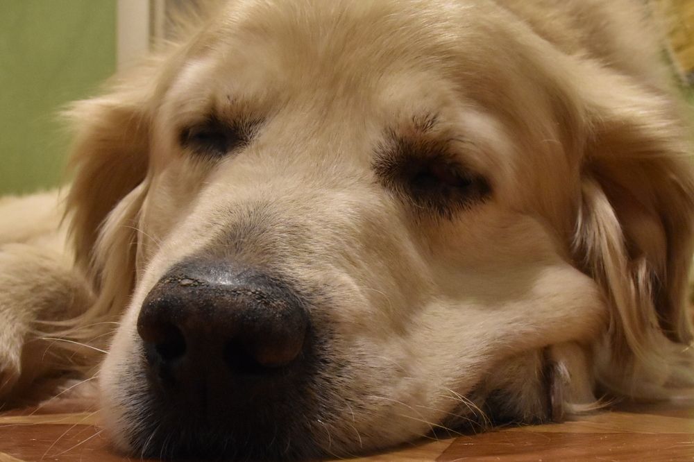 Photograph by Элеонора Безженова