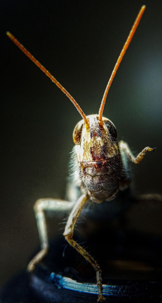 Фотография автора Mahdi Mohammadi