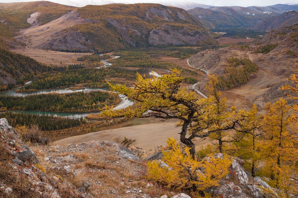 Photograph by Оксана Соколова