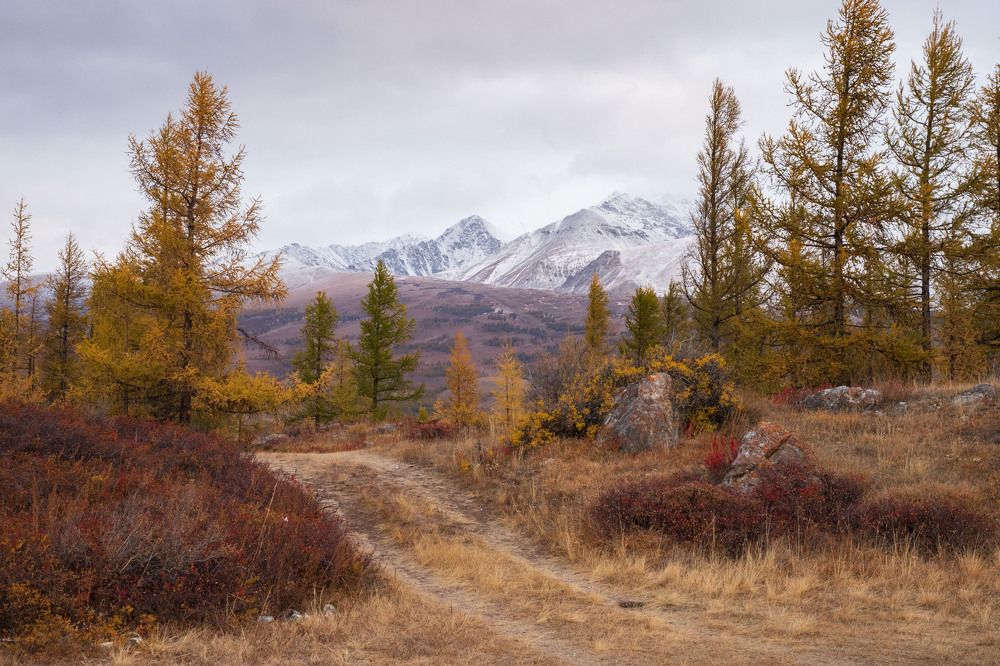 Photograph by Оксана Соколова