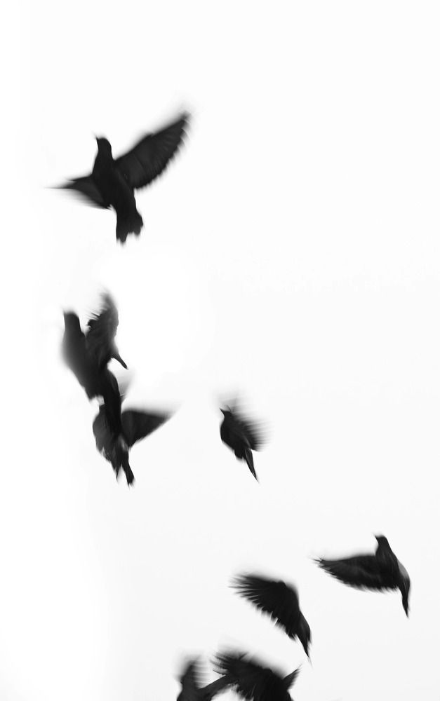 Photograph by Дарья