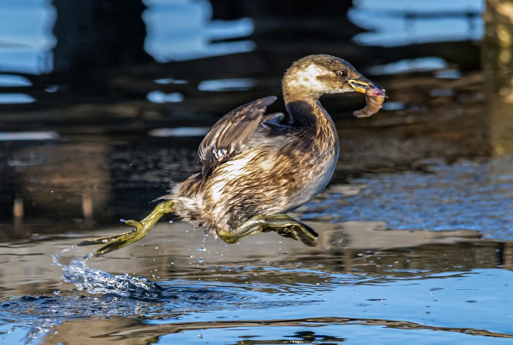 Photograph by Савчук Сергей