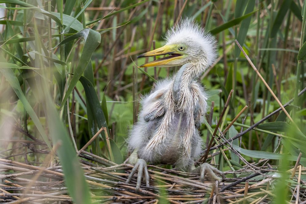 Photograph by Савчук Сергей