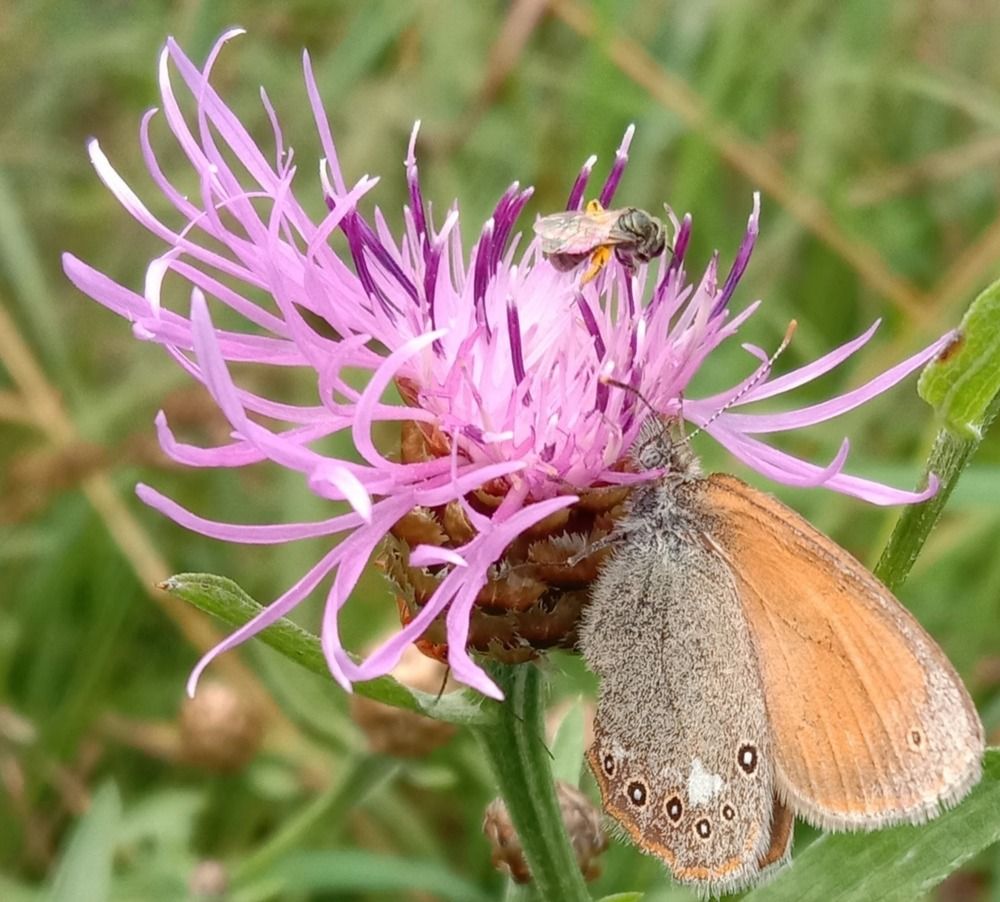 Photograph by Светлана Васильева