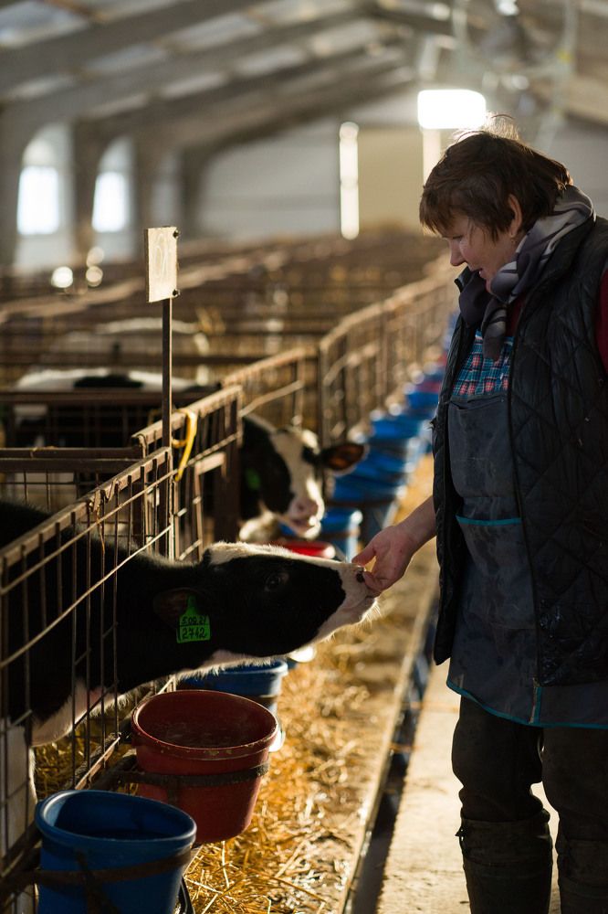 Photograph by Юлия Дёмина