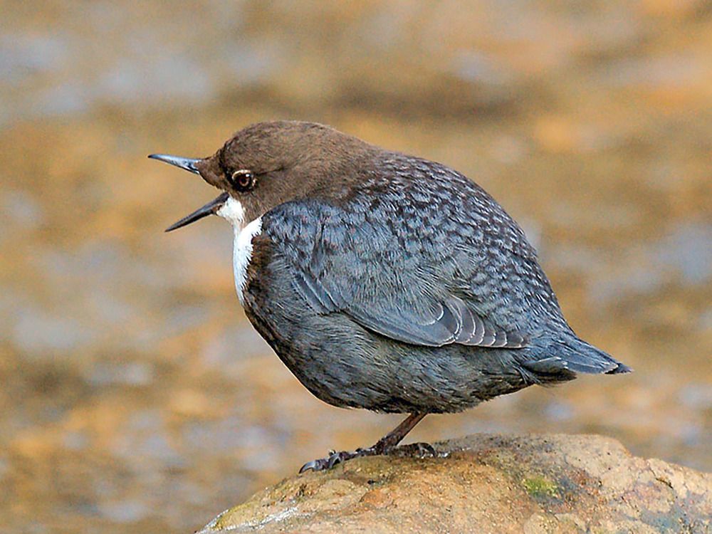 Photograph by Савчук Сергей