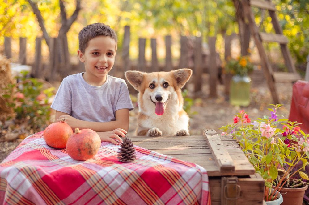 Photograph by Валерия Киселева