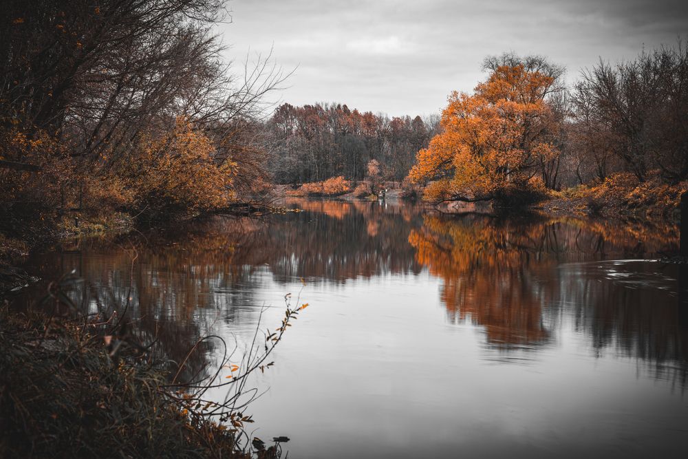 Фотография автора Григорьев Алексей
