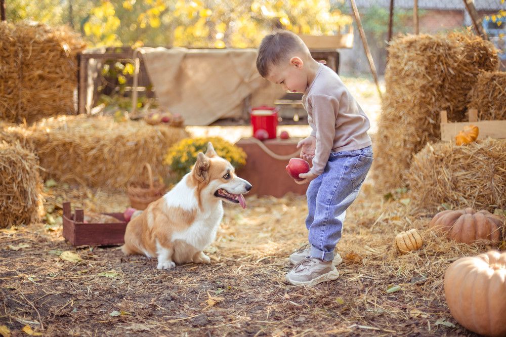 Photograph by Валерия Киселева