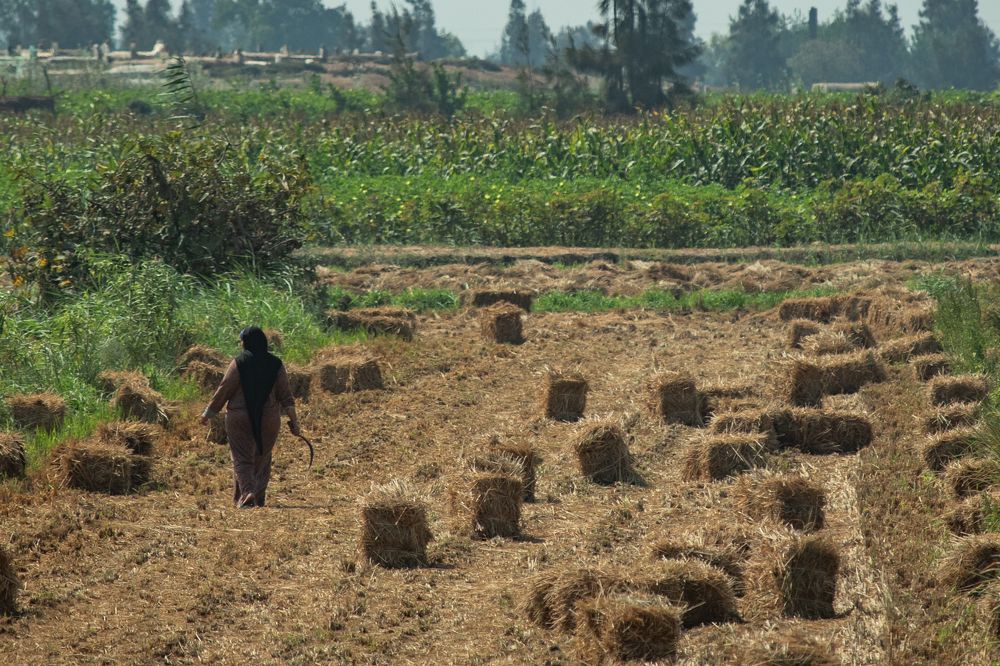 Photograph by Moataz Helmy