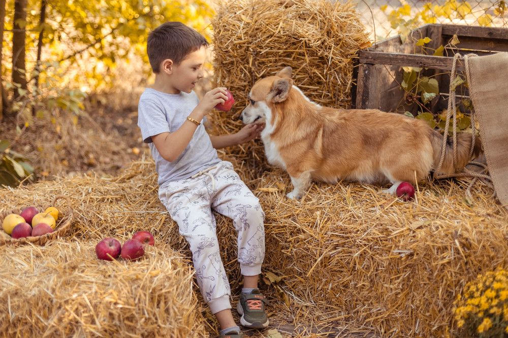 Photograph by Валерия Киселева