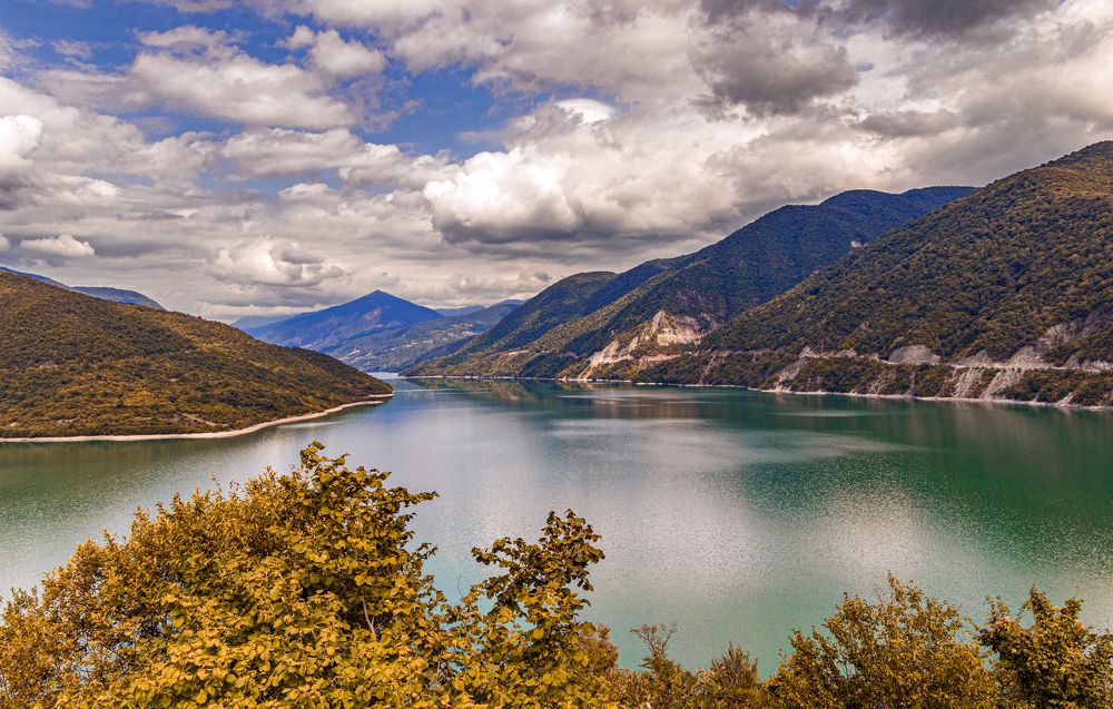 Photograph by Alex Kalpus