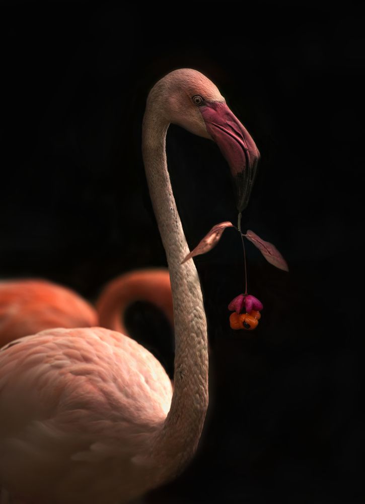 Photograph by Светлана Алексеева