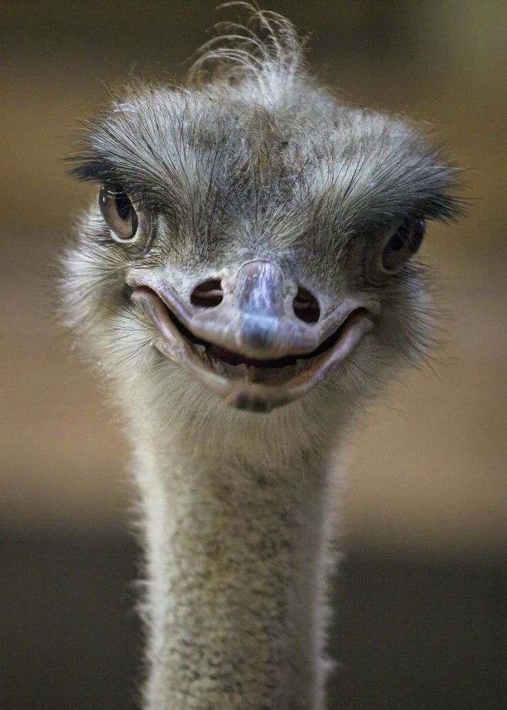 Photograph by Владимир Остапенко