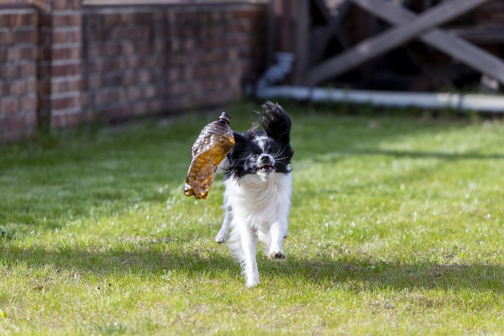 Photograph by Константин Чижов