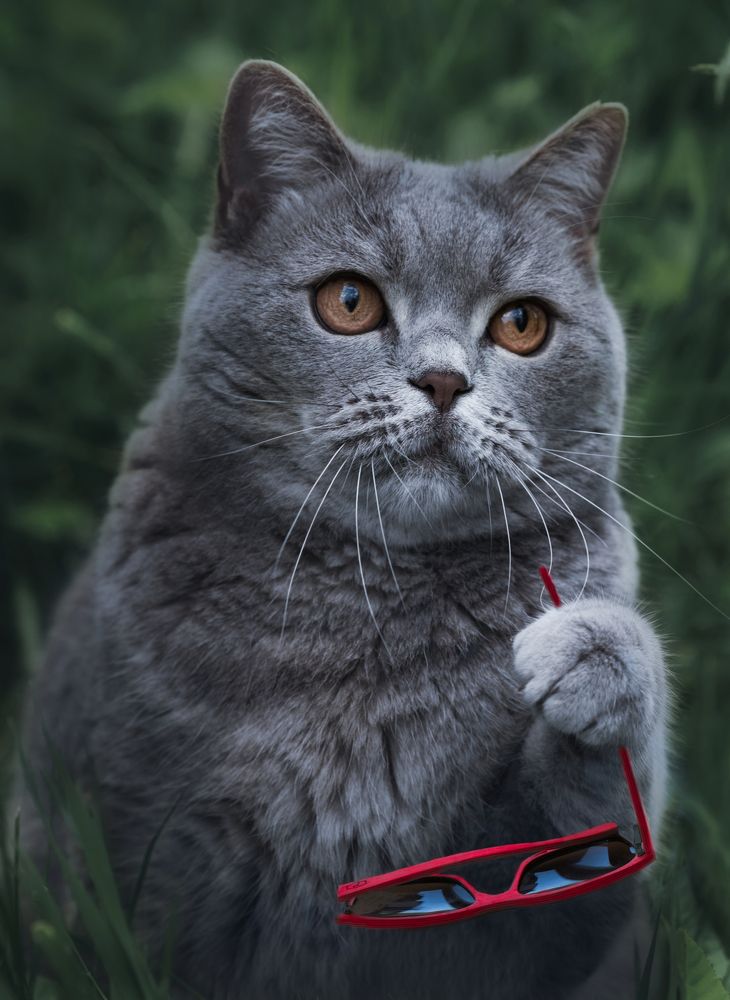 Photograph by Светлана Алексеева