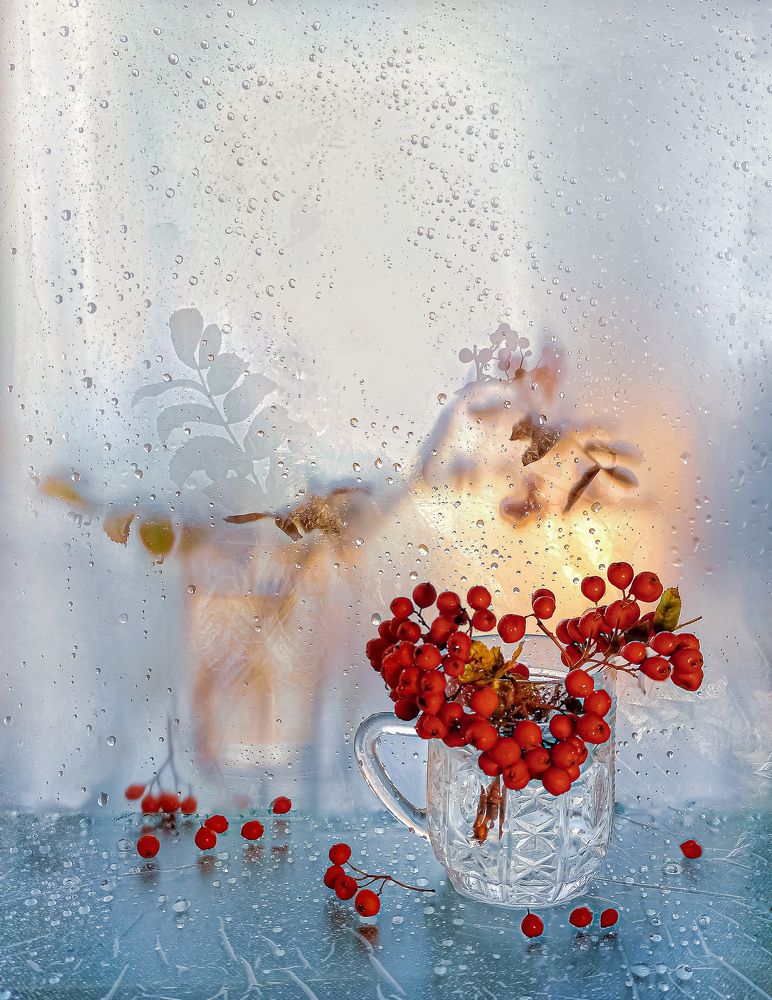 Костры рябин!