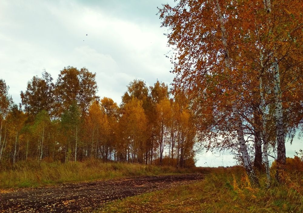 «Золотая Осень»