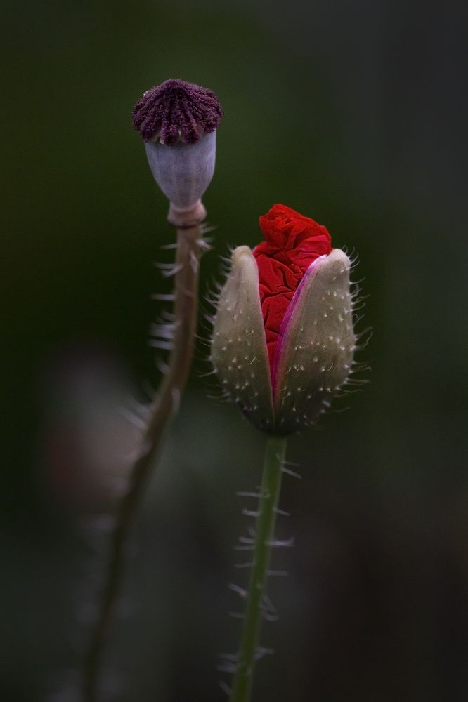 Photograph by Олег Тетерин