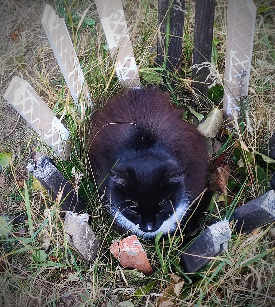 Photograph by Сергей Симаков