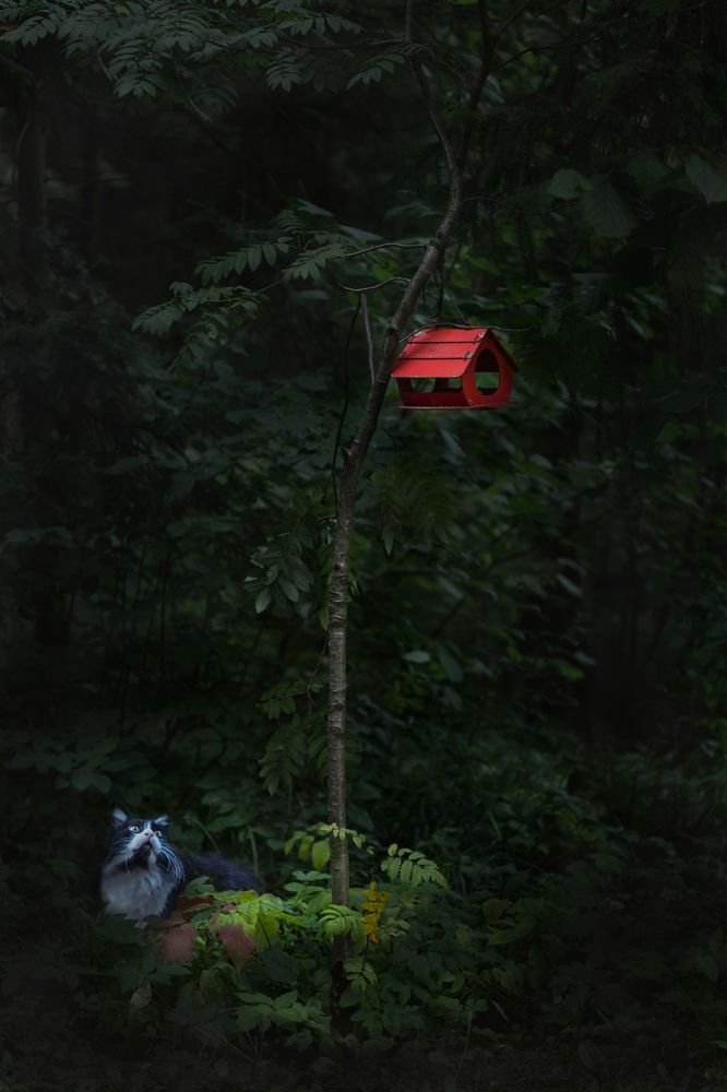 Photograph by Светлана Алексеева