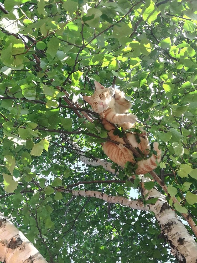 Photograph by Оксана Трофименко