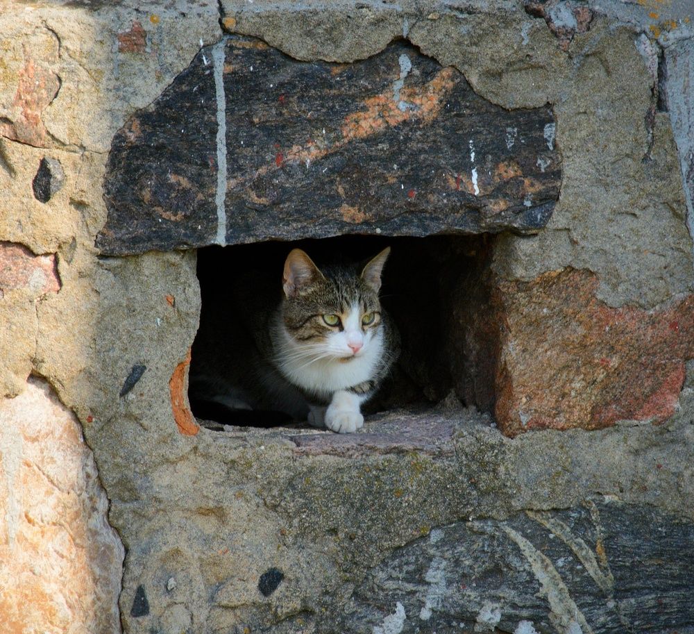 Photograph by Сергей Симаков