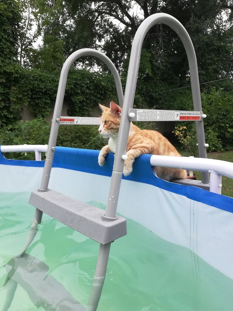 Photograph by Оксана Трофименко