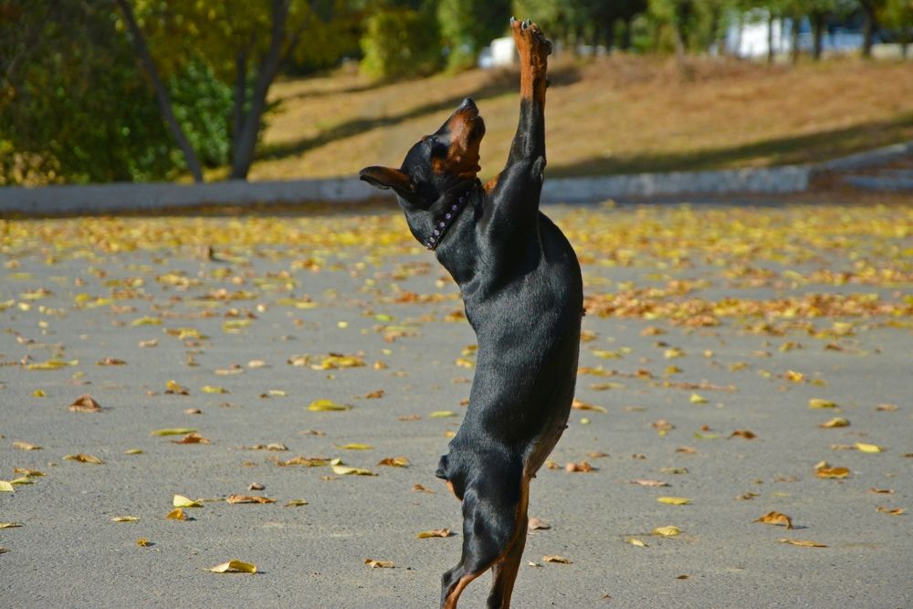 Photograph by Марина Бизяева