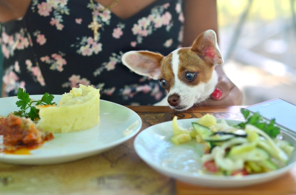 Photograph by Ксения Базарова