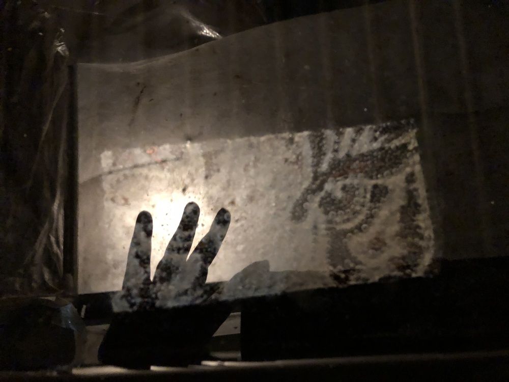 Photograph by Мария Бессмертная