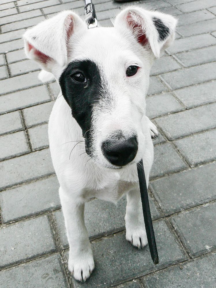 Photograph by Алексей Борисов