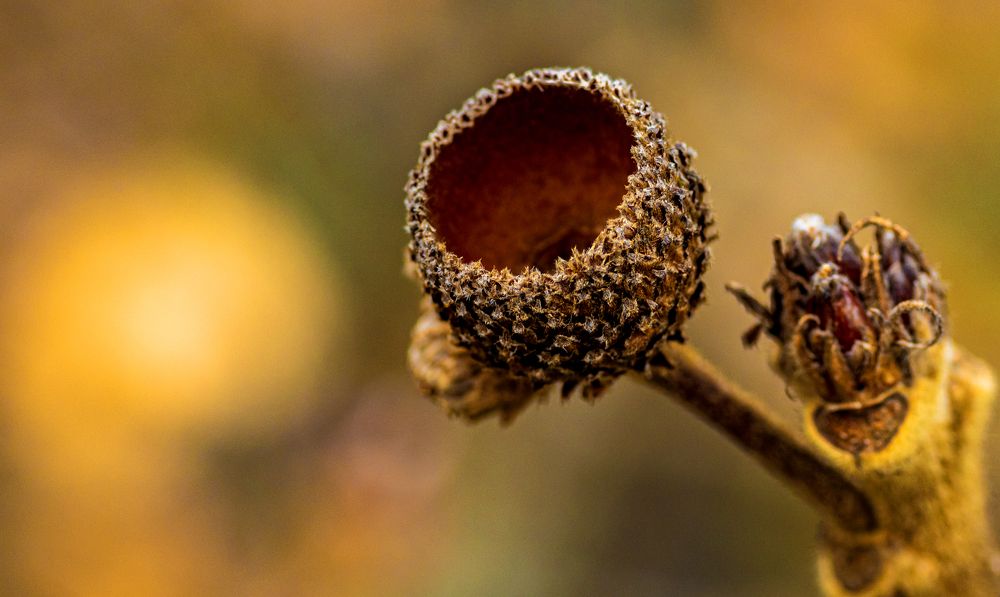 Photograph by Alex Kalpus