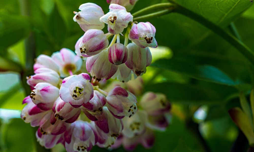 Photograph by Alex Kalpus