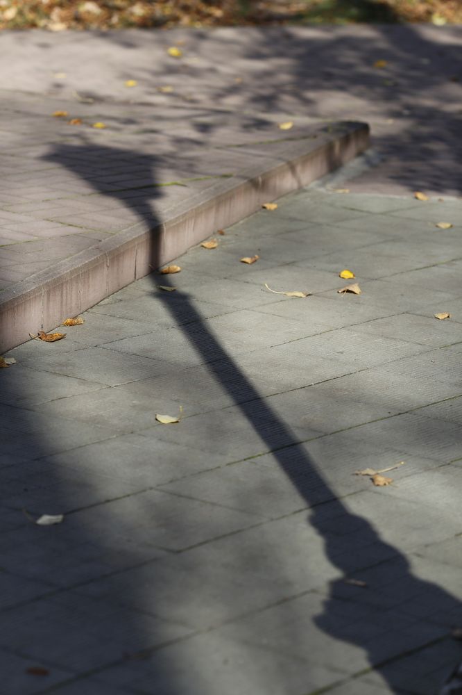 Photograph by Елена Буканина