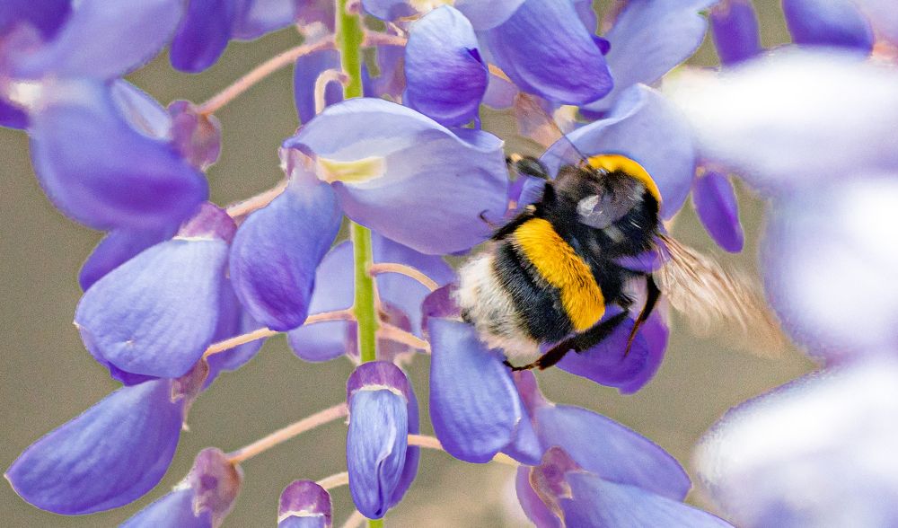 Photograph by Alex Kalpus