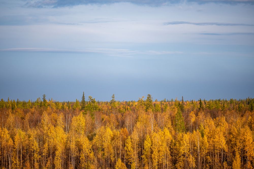 Photograph by Кадырова Марина