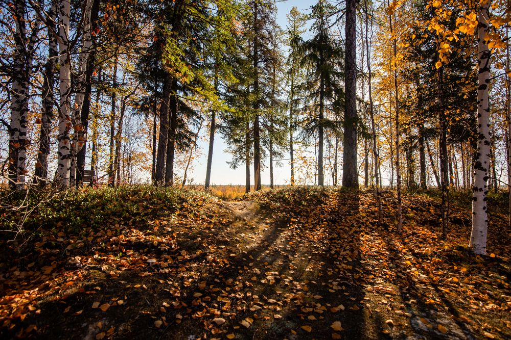 Photograph by Кадырова Марина