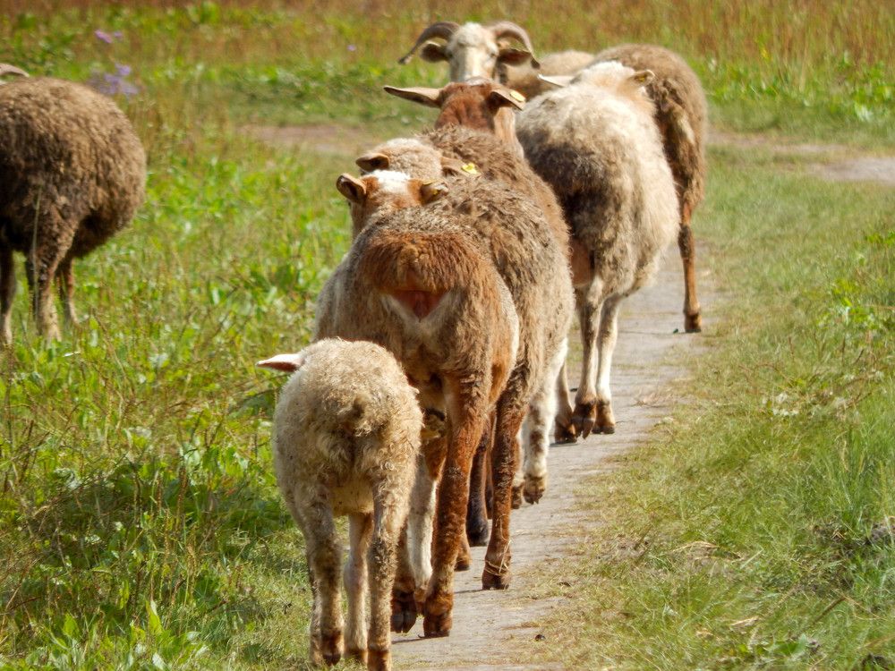 Photograph by Ирина Алпацкая