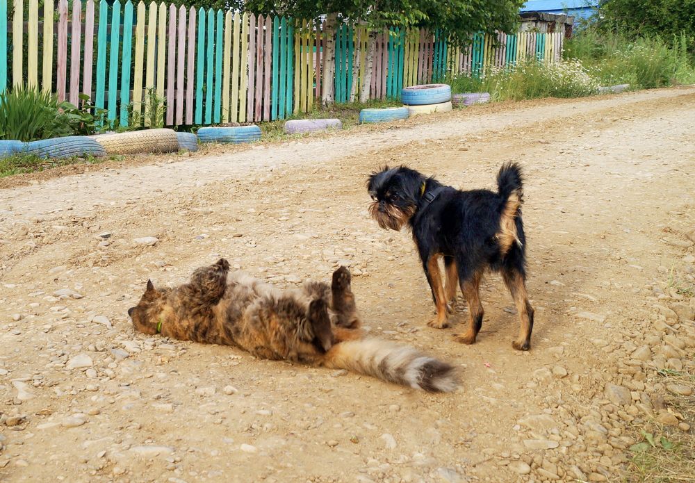 Photograph by Юлия Сахарова