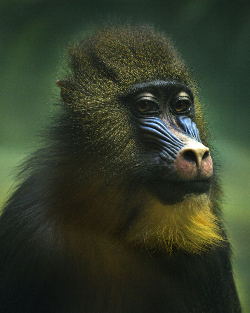 Photograph by Владимир Остапенко