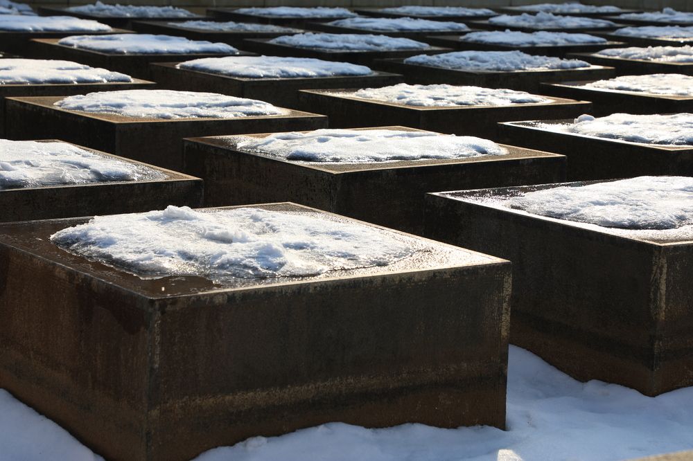 Photograph by Дарья Юсарева