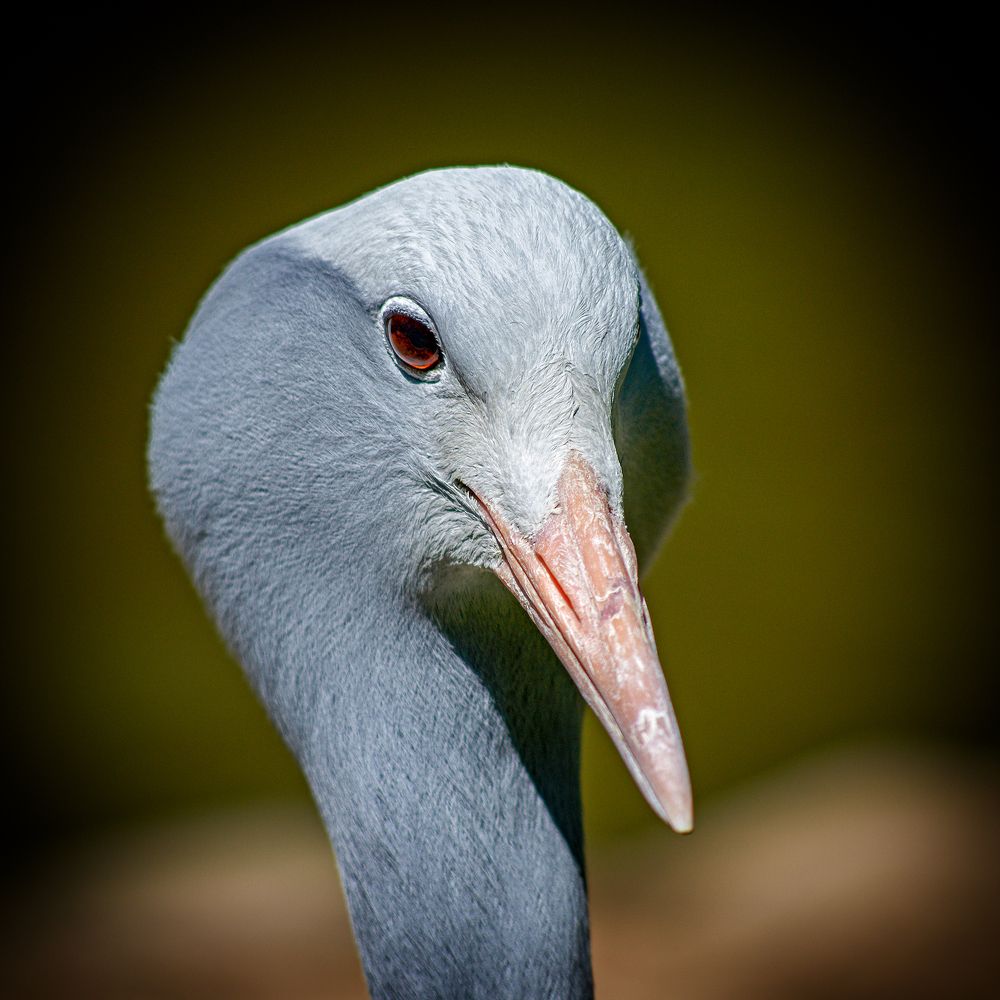 Photograph by Валерий