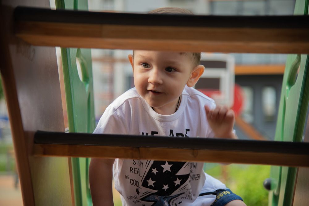 Фотография автора Maria Gomolko