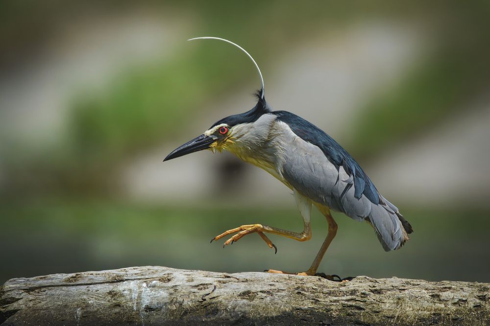 Выхожу на связь.